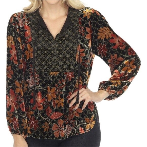 F. Johnny Was Velvet Top 1X Multicolor Blouse Long Sleeve V Neck NWT $318 - Picture 1 of 7